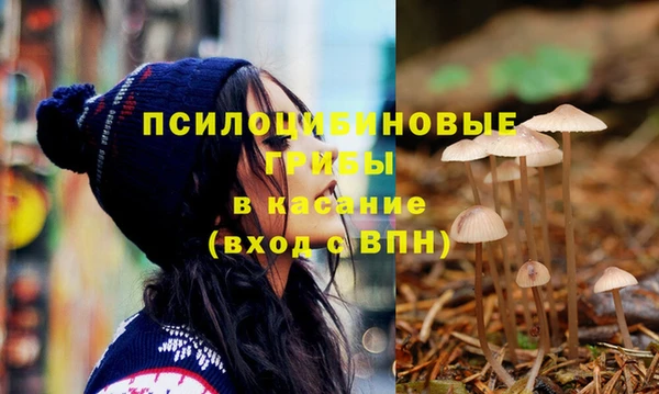 дживик Богданович