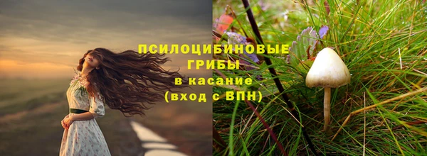 синтетический гашиш Богородицк