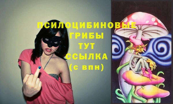 хмурый Белокуриха