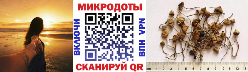 Галлюциногенные грибы Psilocybine cubensis  ОМГ ОМГ онион  Барабинск 